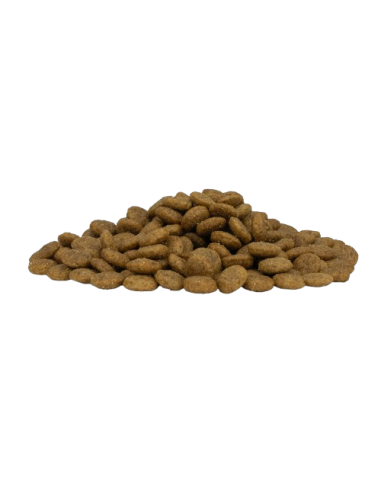 FORZA 10 Medium Diet Low Grain Maiale Kg.12. Diete Cibo secco per cani