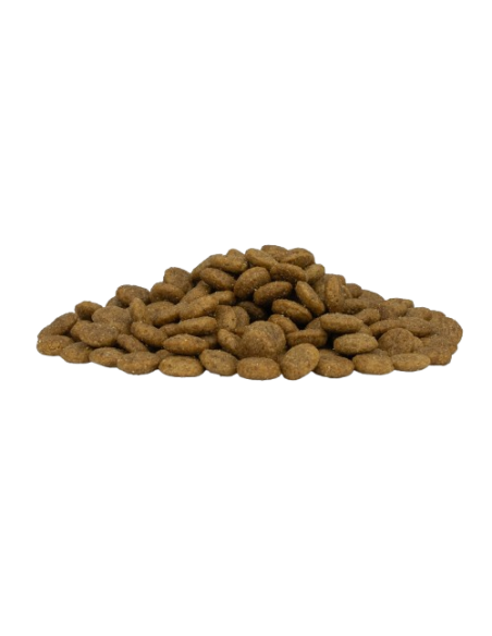 FORZA 10 Medium Diet Low Grain Maiale Kg.12. Diete Cibo secco per cani