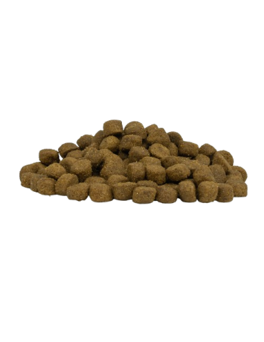 Forza 10 Maxi Diet kg 12. Diete - Cibo Secco Per Cani .