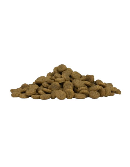 Forza 10 Medium Diet Pesce kg 12. Diete . Crocchette per cani