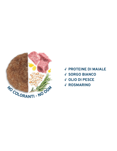 Forza 10 Mantenimento Maiale All Breeds kg 12,5. Cibo Secco Per Cani