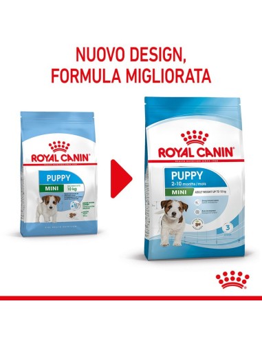 Royal Canin Mini Puppy kg 2 Alimento Completo Cibo Secco per cani