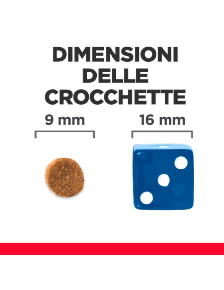 Hill's Feline Gastrointestinal Stress BIOME Kg.1,5. Diete - cibo secco per gatti .