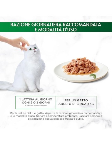 Gourmet Nature's Creations  Trancetti di tonnetto al naturale in salsa gr.70. Cibo Umido Per Gatti