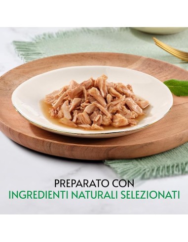 Gourmet Nature's Creations  Trancetti di tonnetto al naturale in salsa gr.70. Cibo Umido Per Gatti