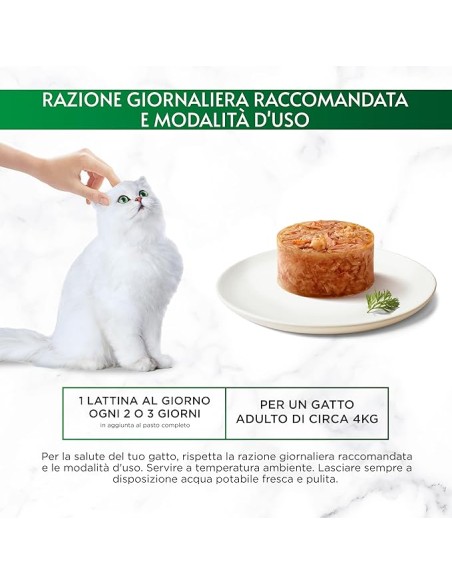 Gourmet Nature's Creation ricco in Fiocchi di Tonnetto Naturale in Gelee con Gamberetti- Cibo Umido Per gatti .