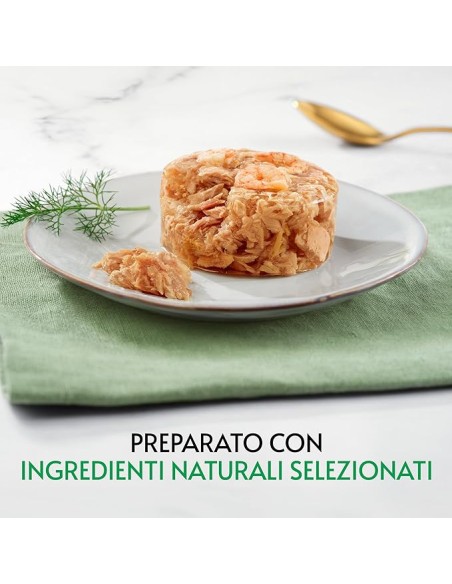 Gourmet Nature's Creation ricco in Fiocchi di Tonnetto Naturale in Gelee con Gamberetti- Cibo Umido Per gatti .