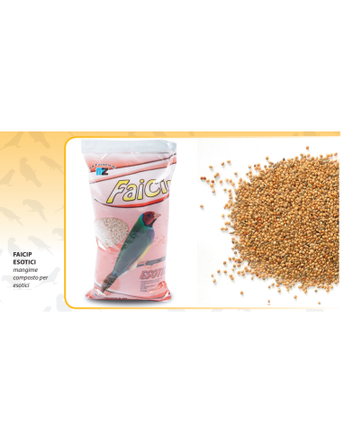 Faicip Misto Esotici Classico gr 700. Mangime Per Uccelli .