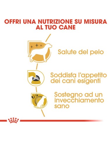 Yorshire Terrier 28 kg 1,5. Crocchette Per Cani ..