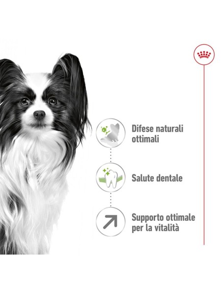 Royal Canin Xsmall  8+ Adult  gr 500 Cibo Secco Per Cani