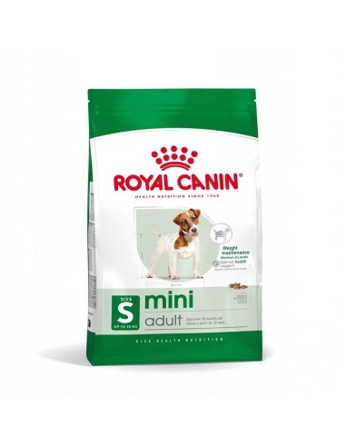 Mini Adult Kg 8 Royal Canin Cibo Secco Per Cani