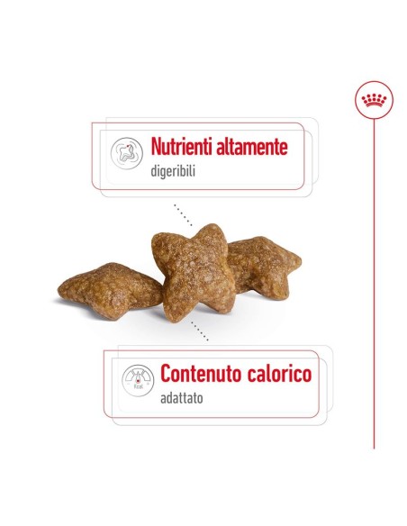 Mini Adult Kg 8 Royal Canin Cibo Secco Per Cani