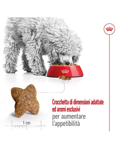 Mini Adult Kg 8 Royal Canin Cibo Secco Per Cani