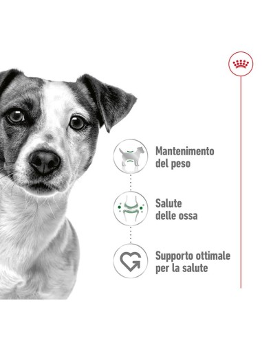 Mini Adult Kg 8 Royal Canin Cibo Secco Per Cani
