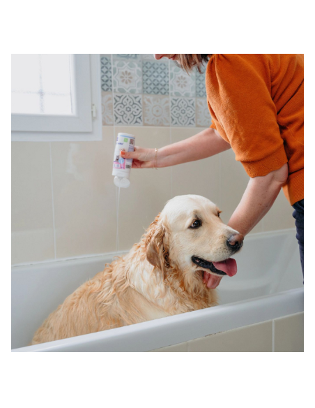 Virbac Allederm Cute Sensibile ml 250. Shampoo per cani e gatti.