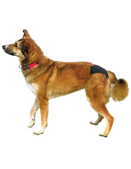 Mutandina Igienica Luxus misura large . Abbigliamento per cani .