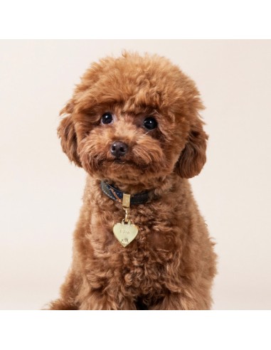 Medaglietta Basic Cuore Piccolo Ottone Dorato. Accessori per cani