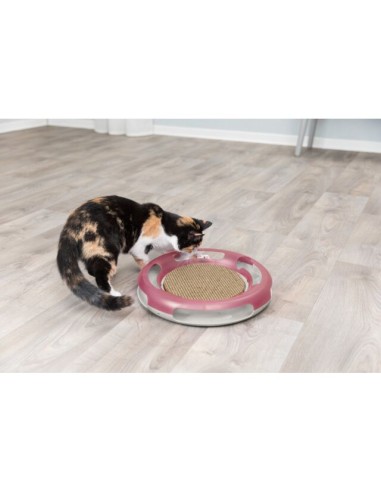 Gioco Race and Scratch . Giochi per gatti