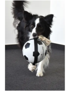 Gioco Cane Matchball Pallone Calcio cm 22. Giochi per cani.