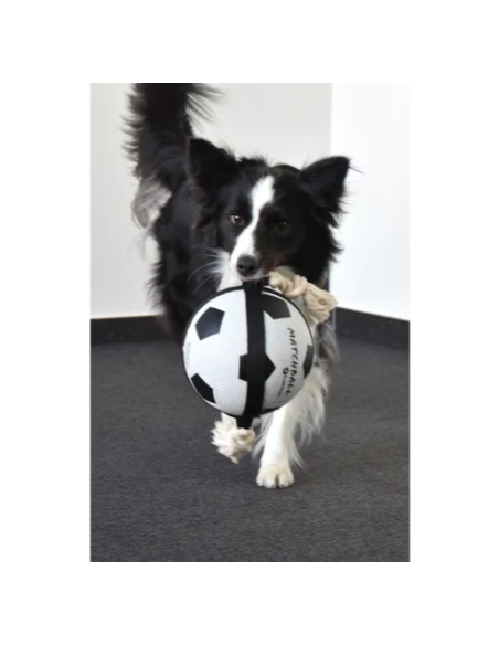 Gioco Cane Matchball Pallone Calcio cm 22. Giochi per cani.