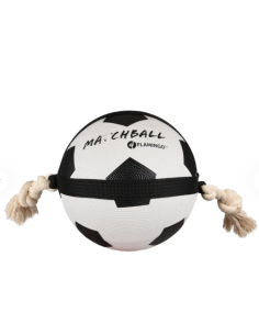 Gioco Cane Matchball Pallone Calcio cm 22. Giochi per cani. 2