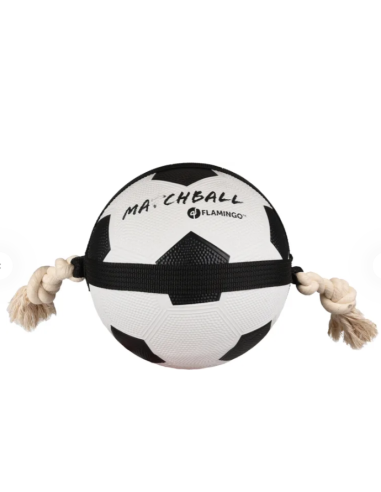 Gioco Cane Matchball Pallone Calcio cm 22. Giochi per cani.