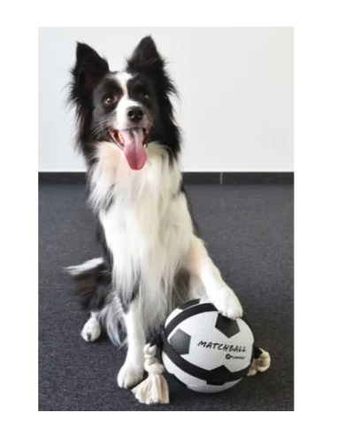 Gioco Cane Matchball Pallone Calcio cm 22. Giochi per cani.