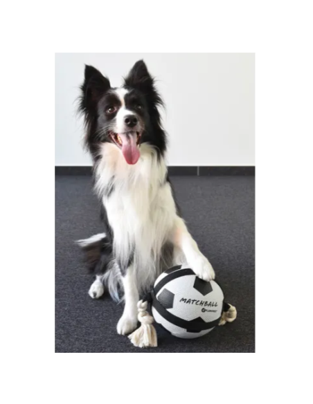 Gioco Cane Matchball Pallone Calcio cm 22. Giochi per cani.