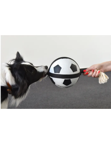 Gioco Cane Matchball Pallone Calcio cm 22. Giochi per cani.
