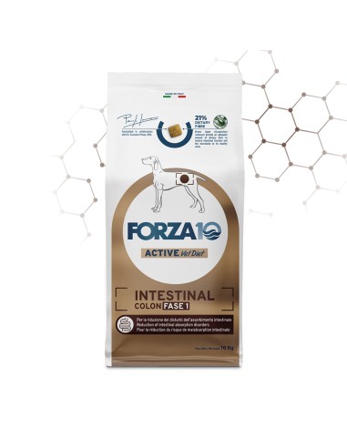 Forza 10 Intestinal Colon Fase 1 Agnello kg.10. Diete per cani