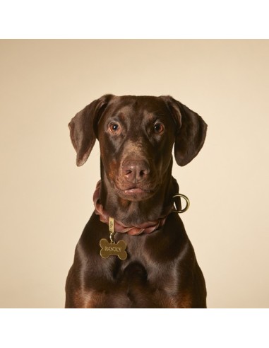 Medaglietta Basic Osso Grande Ottone Dorato. Accessori Per Cani