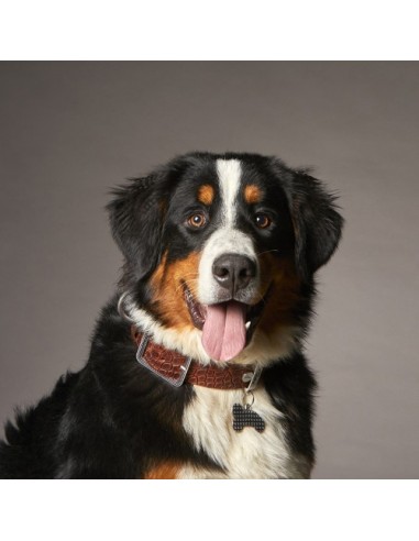 Medaglietta Osso Strong Borchie Argento Antico Grande My Family. Accessori per cani .