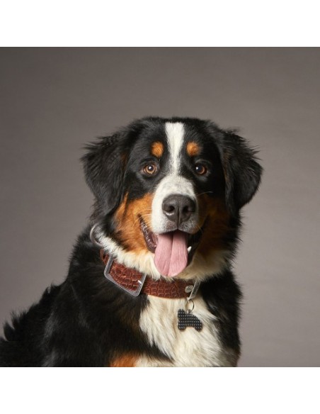 Medaglietta Osso Strong Borchie Argento Antico Grande My Family. Accessori per cani .