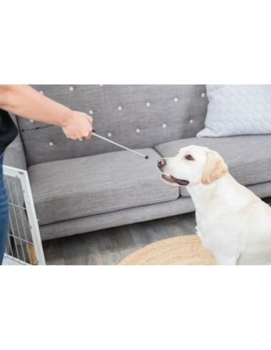 Targer Stick Con Clicker integrato. Addestramento per cani