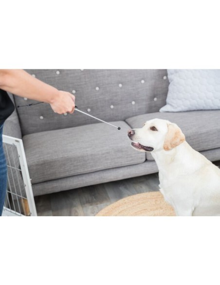 Targer Stick Con Clicker integrato. Addestramento per cani