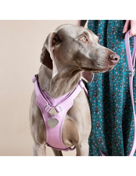 Medaglietta basic Cuore Grande Ottone Cromato. Accessori per cani.