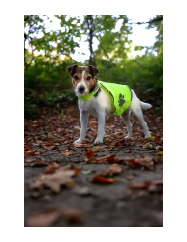 Gilet di Sicurezza Refi Misura Large. Abbigliamento per cani
