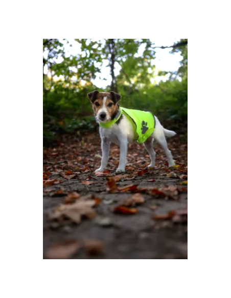 Gilet di Sicurezza Refi Misura Large. Abbigliamento per cani