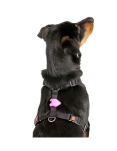 Luce di Sicurezza Jada . Guinzagli e Collari per cani. accessori .