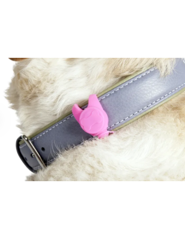 Luce di Sicurezza Jada . Guinzagli e Collari per cani. accessori .