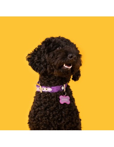 Medaglietta hustag Osso Alluminio Viola Gomma viola . Accessori.