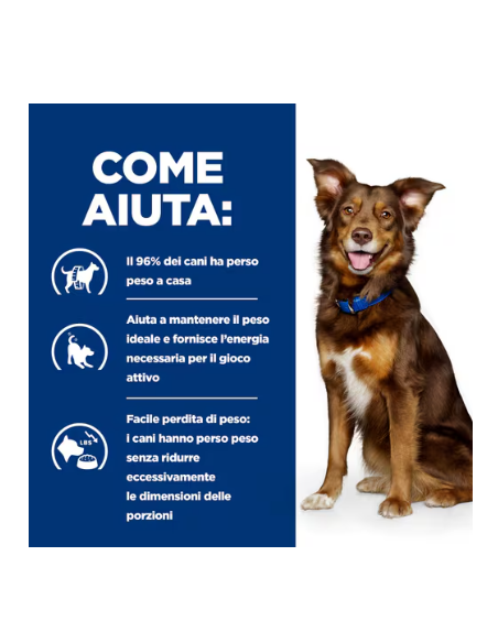 HILL'S CANINE METABOLIC pollo e verdure Gr.200. Diete . Cibo Umido per cani