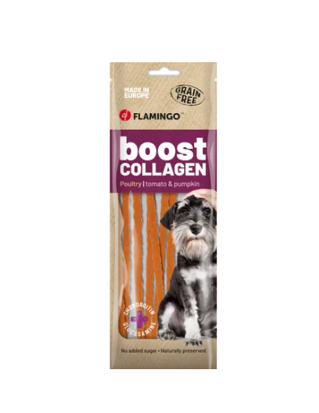 Boost Spaghetti Con Pollo E Collagene gr 70. Snack per cani