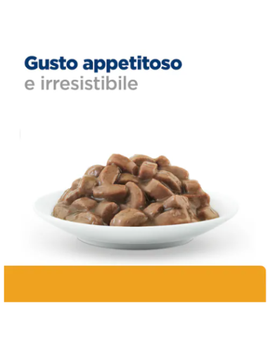 Hill's Cd busta al Salmone gr 85. Diete per gatti. Cibo umido