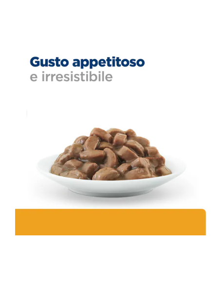 Hill's Cd busta al Salmone gr 85. Diete per gatti. Cibo umido