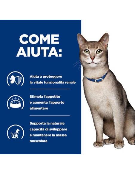 Hill's Feline K/d Busta Manzo gr 85. Diete . Cibo Umido per gatti