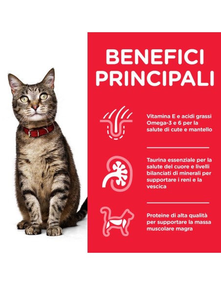 Hill's Feline Mantenimento Pollo Kg 1,5. Cibo Secco Per Gatti