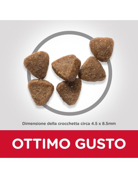 Hill's Feline Mantenimento Pollo Kg 1,5. Cibo Secco Per Gatti