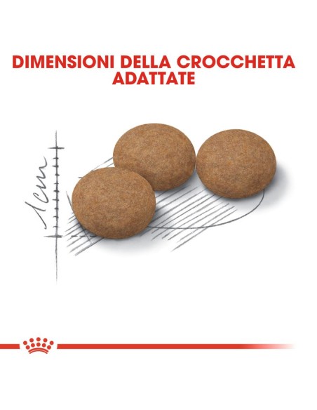 Sterilised +12 kg 2. Royal Canin . Cibo Secco per gatti