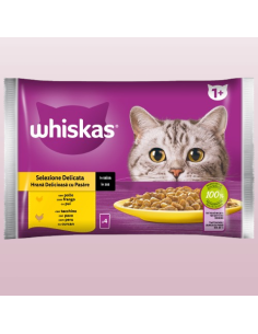 Whiskas 1 + Selezione Delicata 4 x85 gr. Cibo Umido per gatti 2